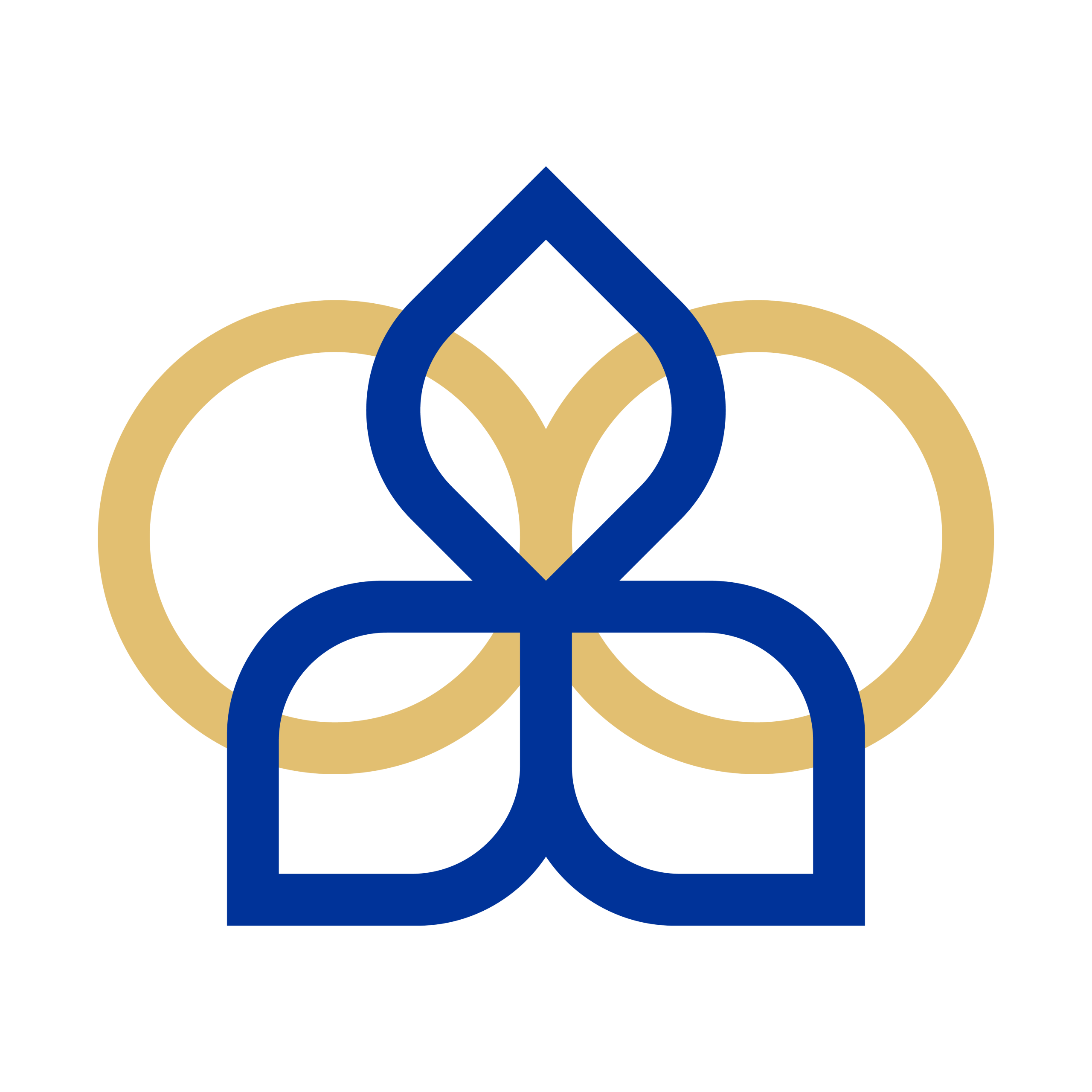 Orkideh logo main scaled